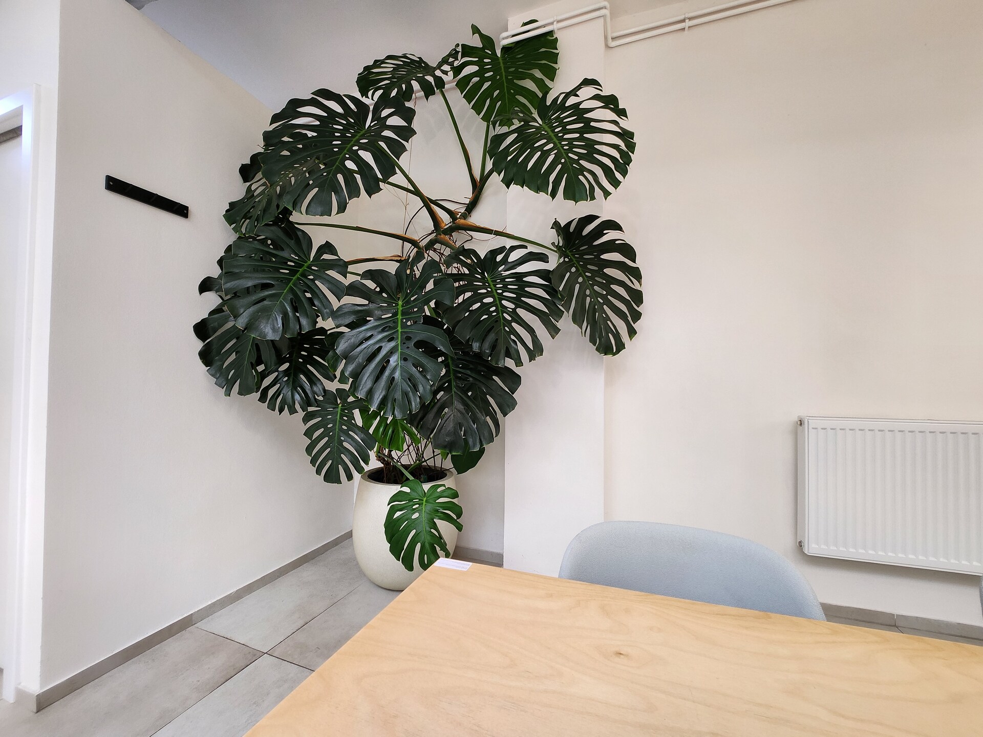 Samsung Galaxy Z Fold4