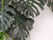 Samsung Galaxy Z Fold4