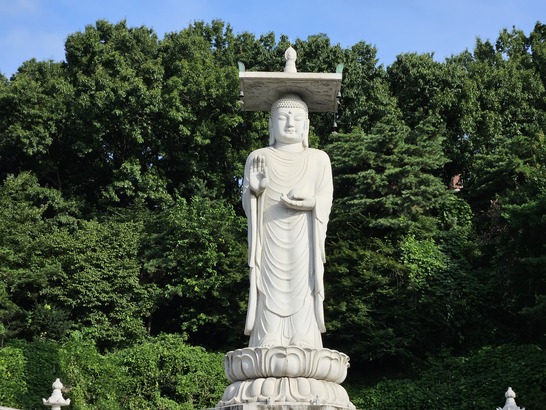 Samsung Galaxy Z Fold5