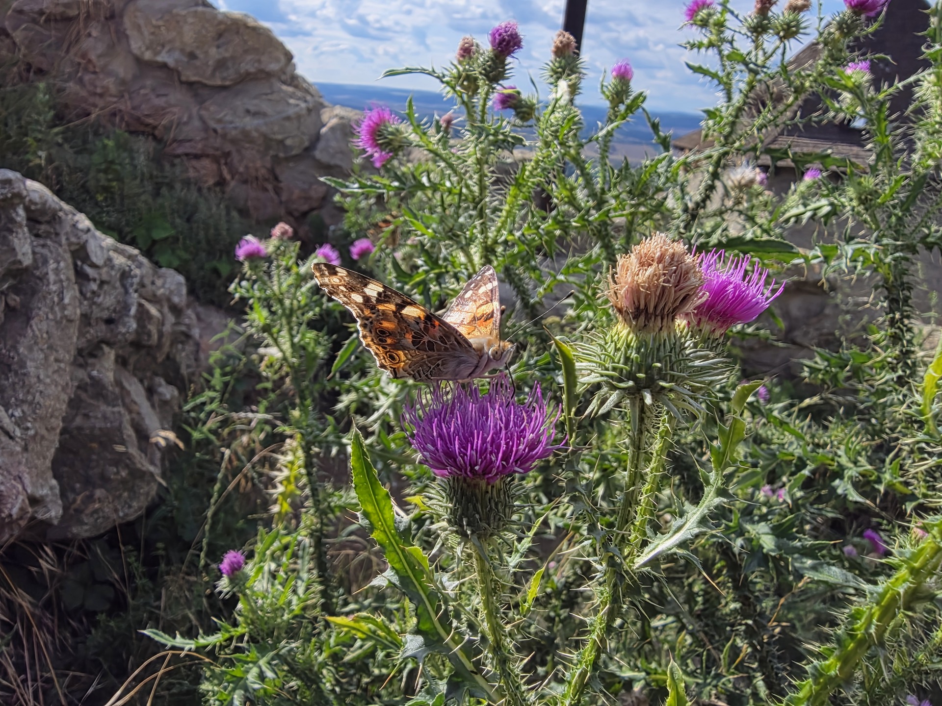 Samsung Galaxy Z Fold7