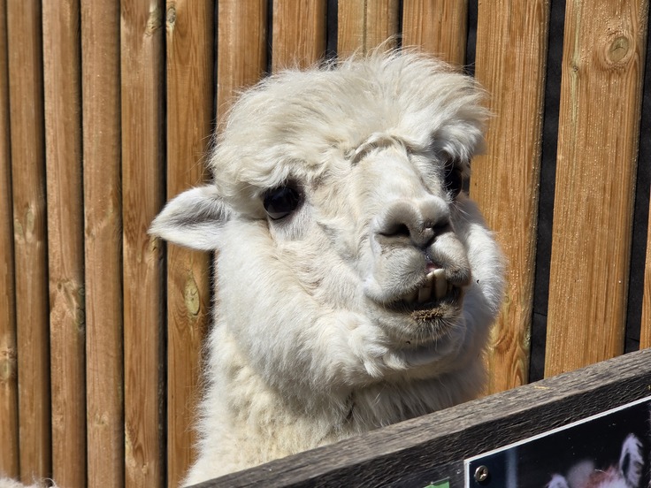 Samsung Galaxy Z Fold7