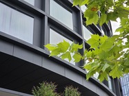 Samsung Galaxy Z Fold7