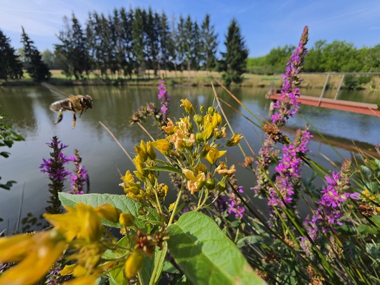 Samsung Galaxy Z Fold8 Ultra
