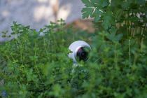 Samsung Gear 360 (2017