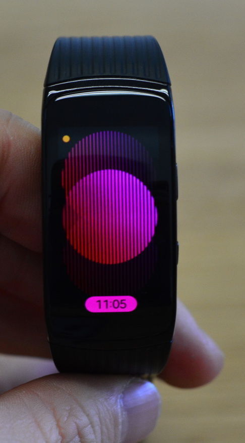 Samsung Gear Fit 2 Pro