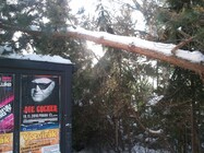 Samsung I8700 Omnia 7