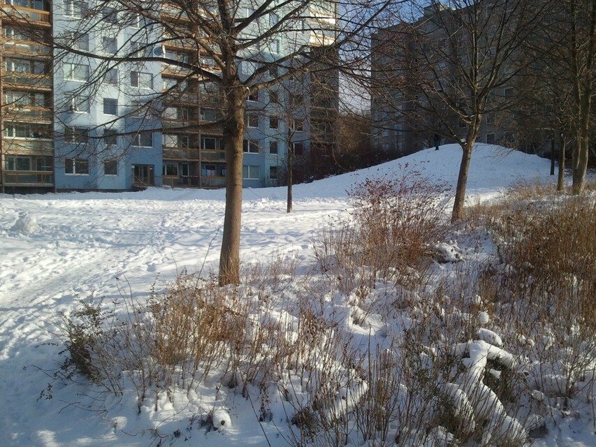 Samsung I8700 Omnia 7