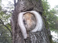 Samsung M7500 Emporio Armani