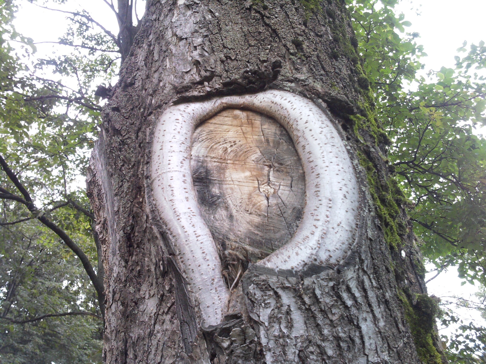 Samsung M7500 Emporio Armani