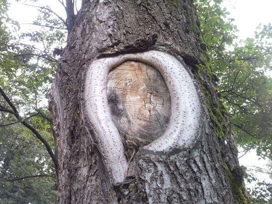 Samsung M7500 Emporio Armani