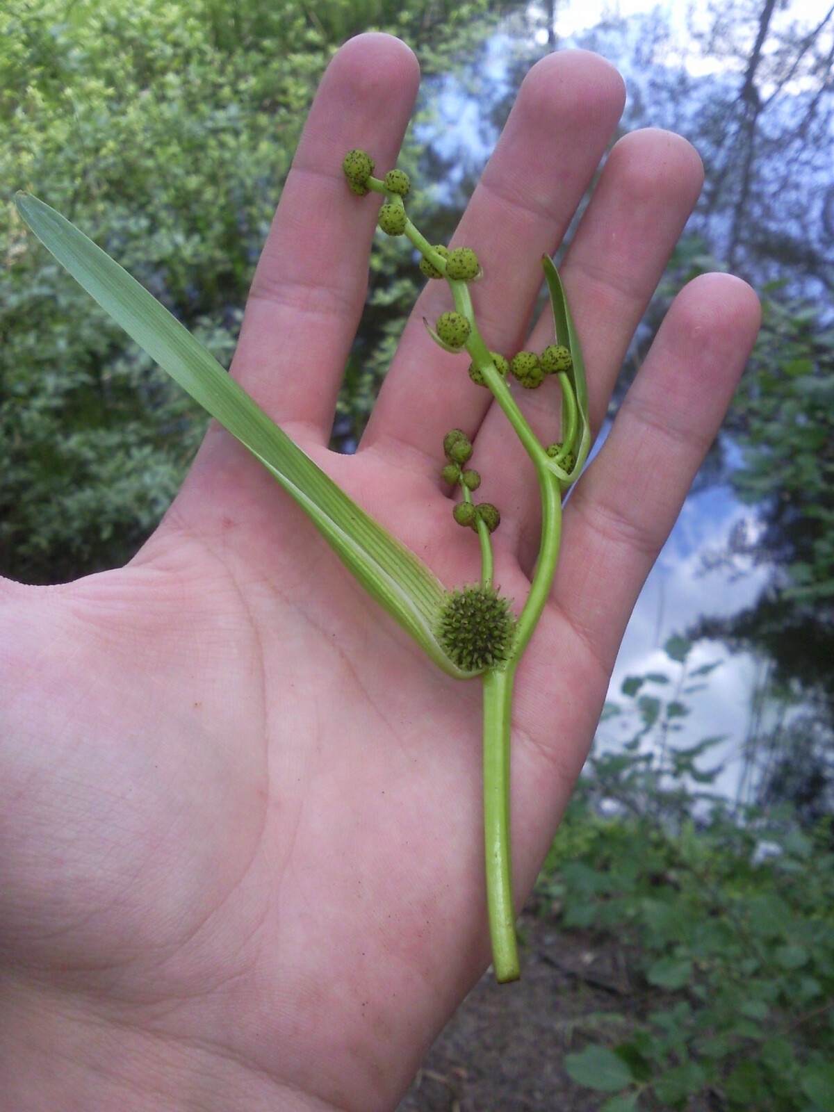 Samsung S7350 Ultra S