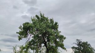 Motorola Razr 4K 30 FPS