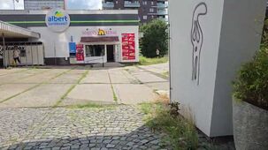 Samsung Galaxy Z Flip6 4K 60 FPS