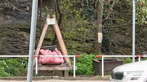 Motorola Signature 4K 60 FPS