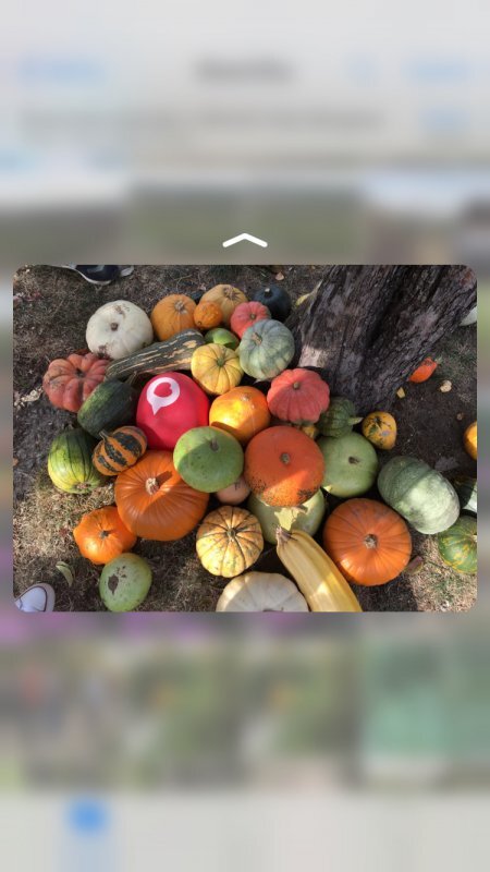 screenshot Apple iPhone 6s