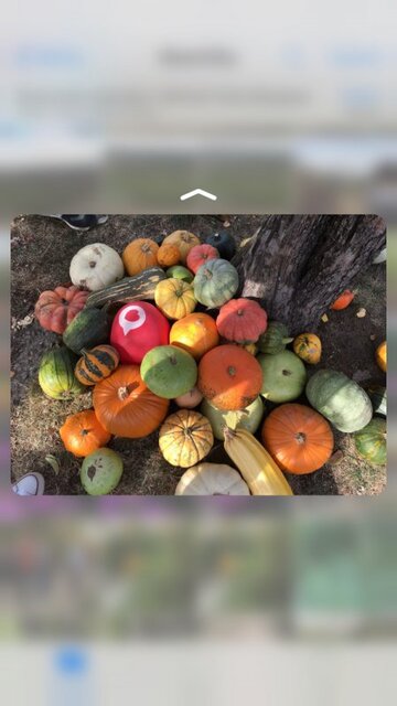 screenshot Apple iPhone 6s