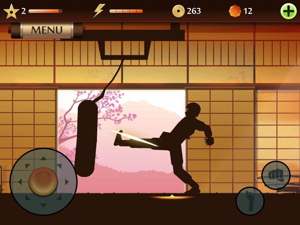 Shadow Fight 2