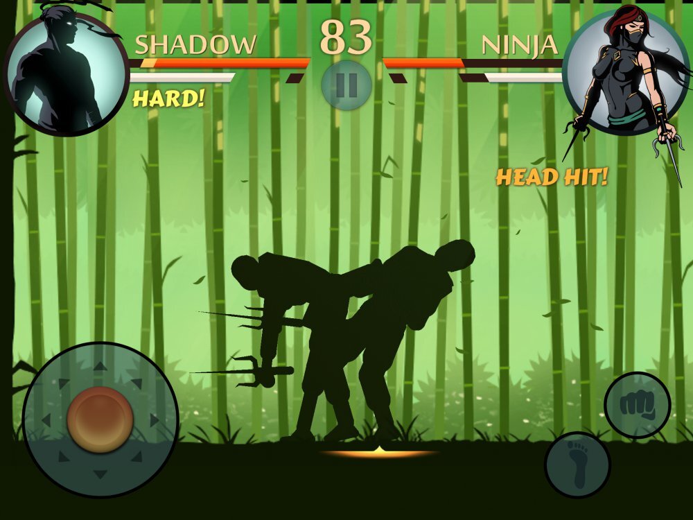 Shadow Fight 2