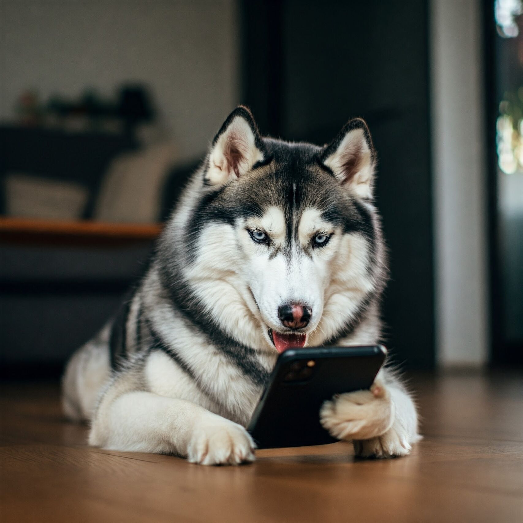 Sibiřský husky vygenerovaný pomocí Gemini Imagen 3