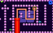 Silly Sausage: Doggy Dessert