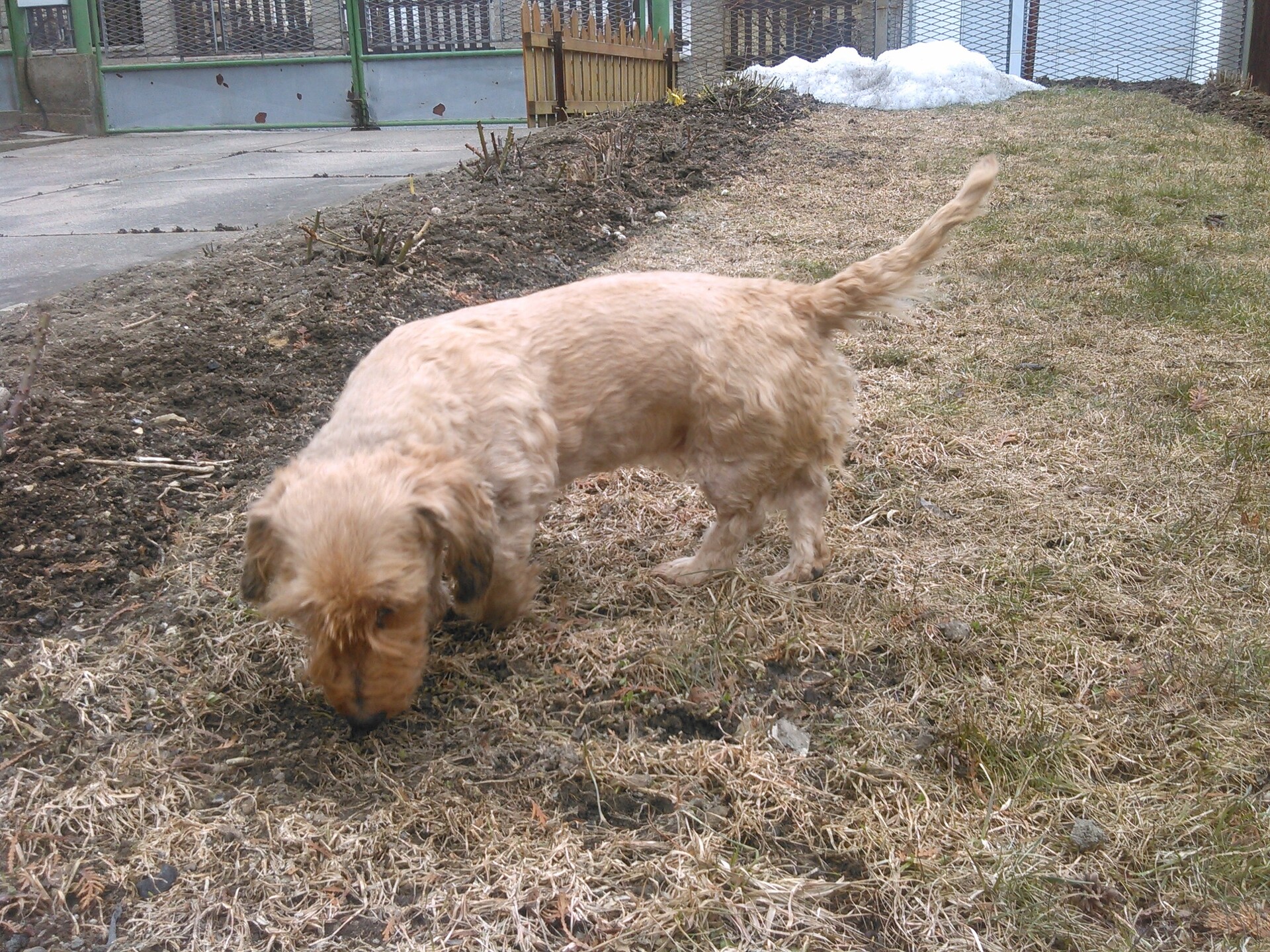 Snímek z Huawei Ascend W1