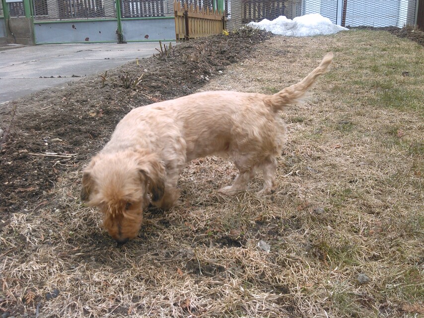 Snímek z Huawei Ascend W1