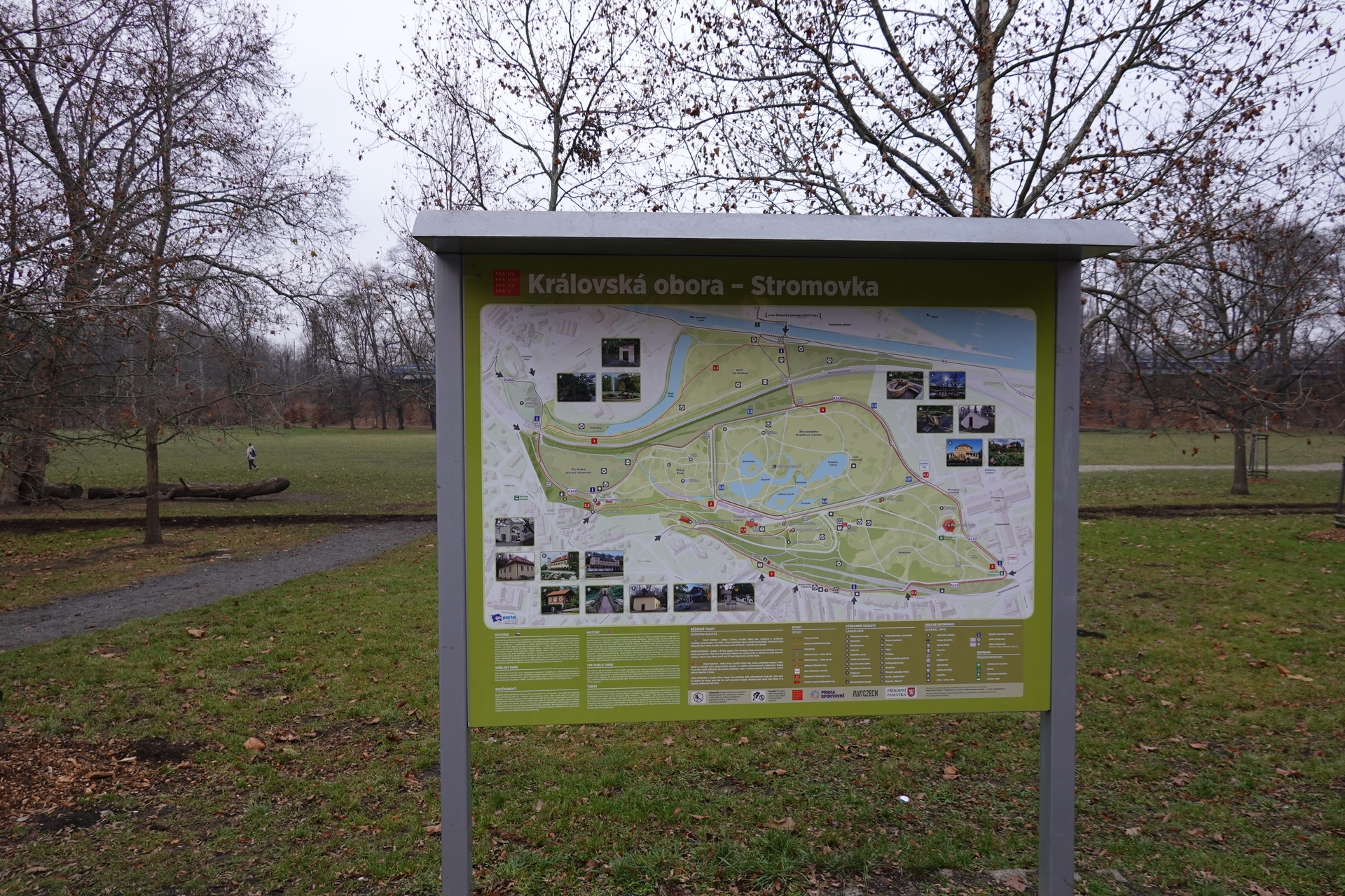 Sony CyberShot DSC-RX100 VII