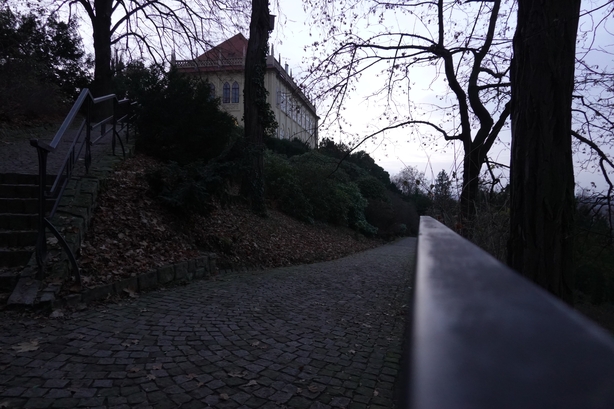 Sony CyberShot DSC-RX100 VII