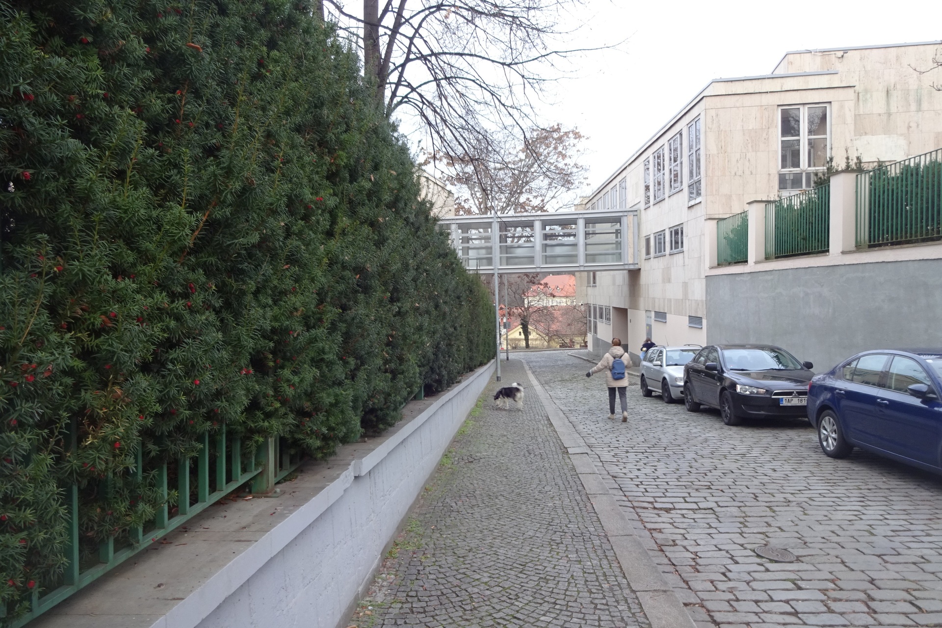 Sony CyberShot DSC-WX220