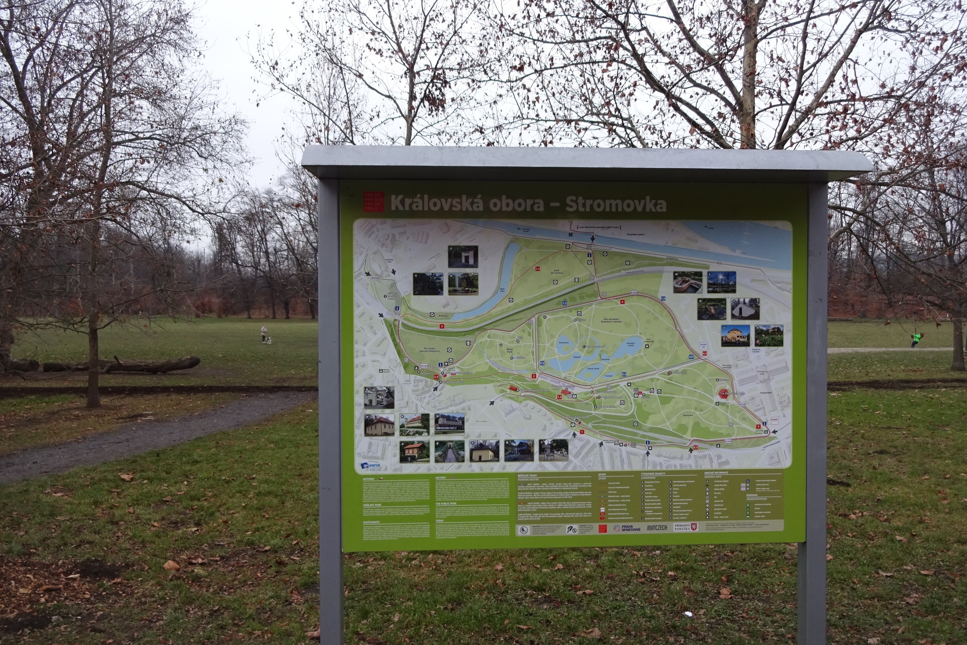 Sony CyberShot DSC-WX220