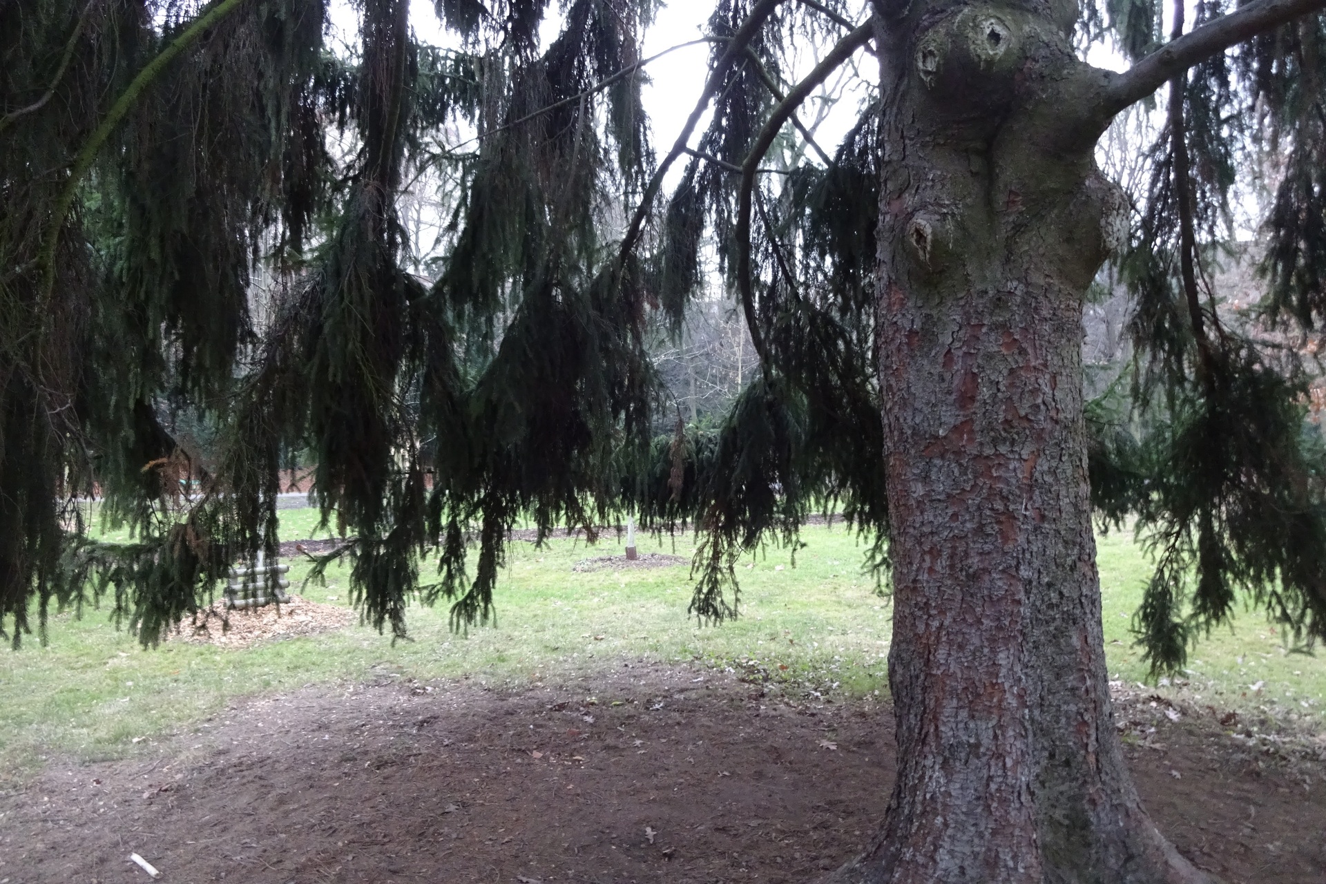 Sony CyberShot DSC-WX220