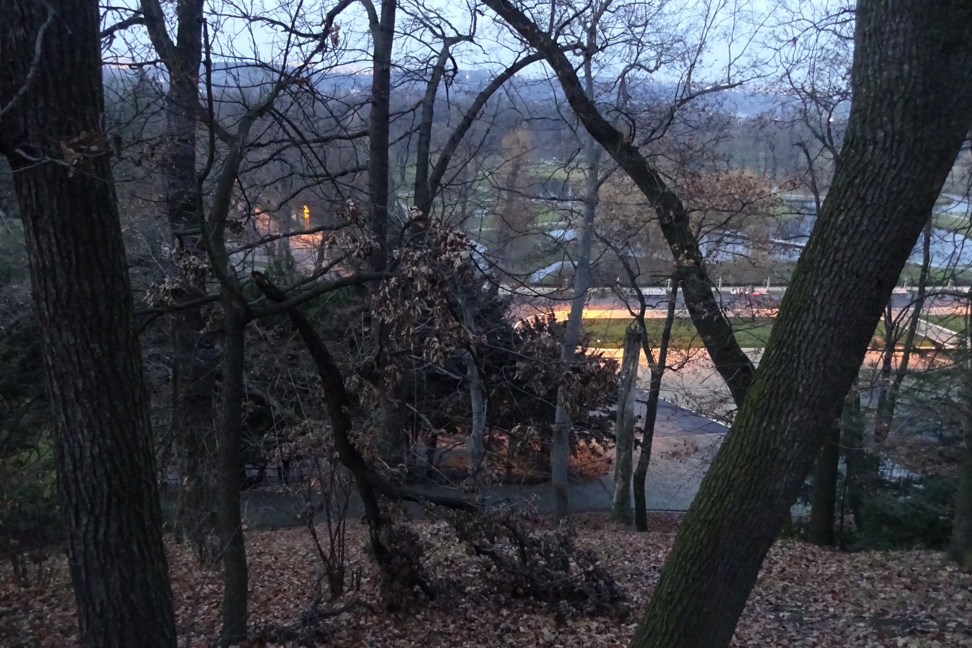 Sony CyberShot DSC-WX220