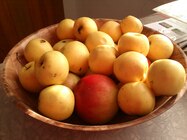 Sony Ericsson Live with Walkman