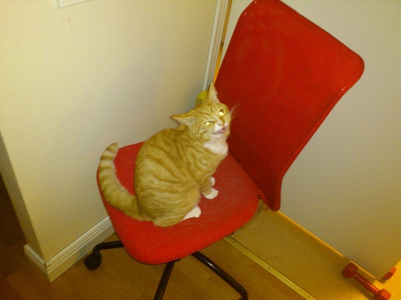 Sony Ericsson PlayStation phone