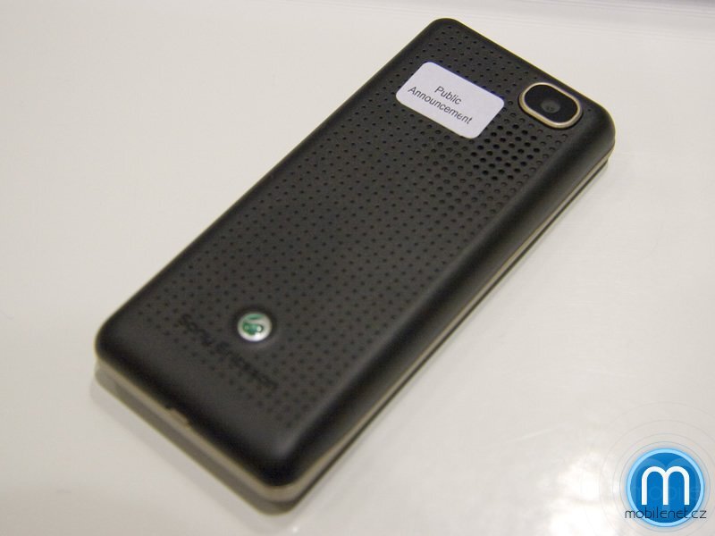 Sony Ericsson  S302