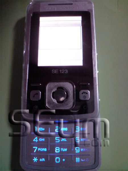 Sony Ericsson T303