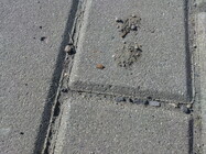 Sony Ericsson U5i Vivaz