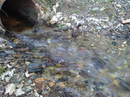 Sony Ericsson U5i Vivaz