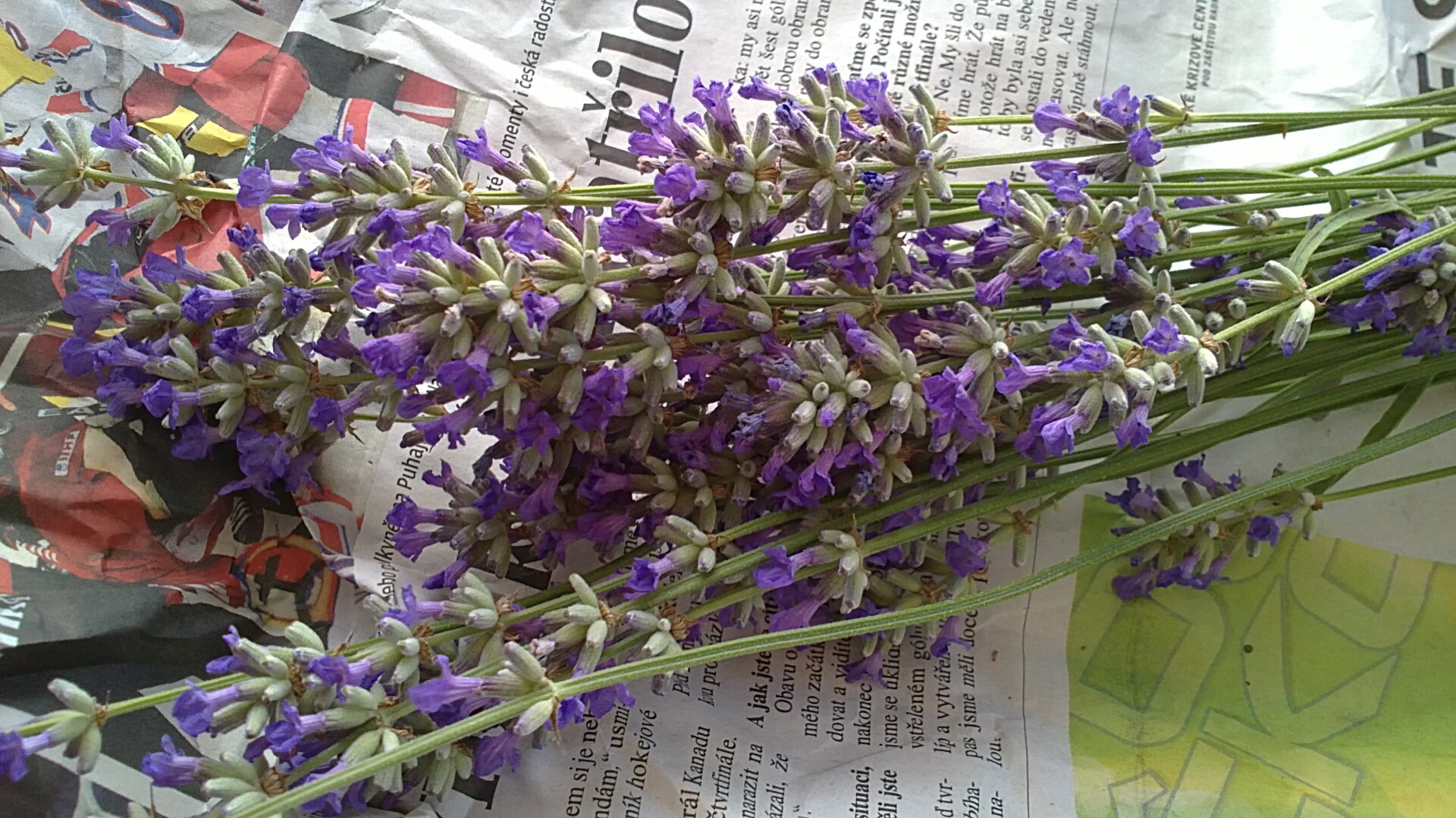 Sony Ericsson Vivaz Pro