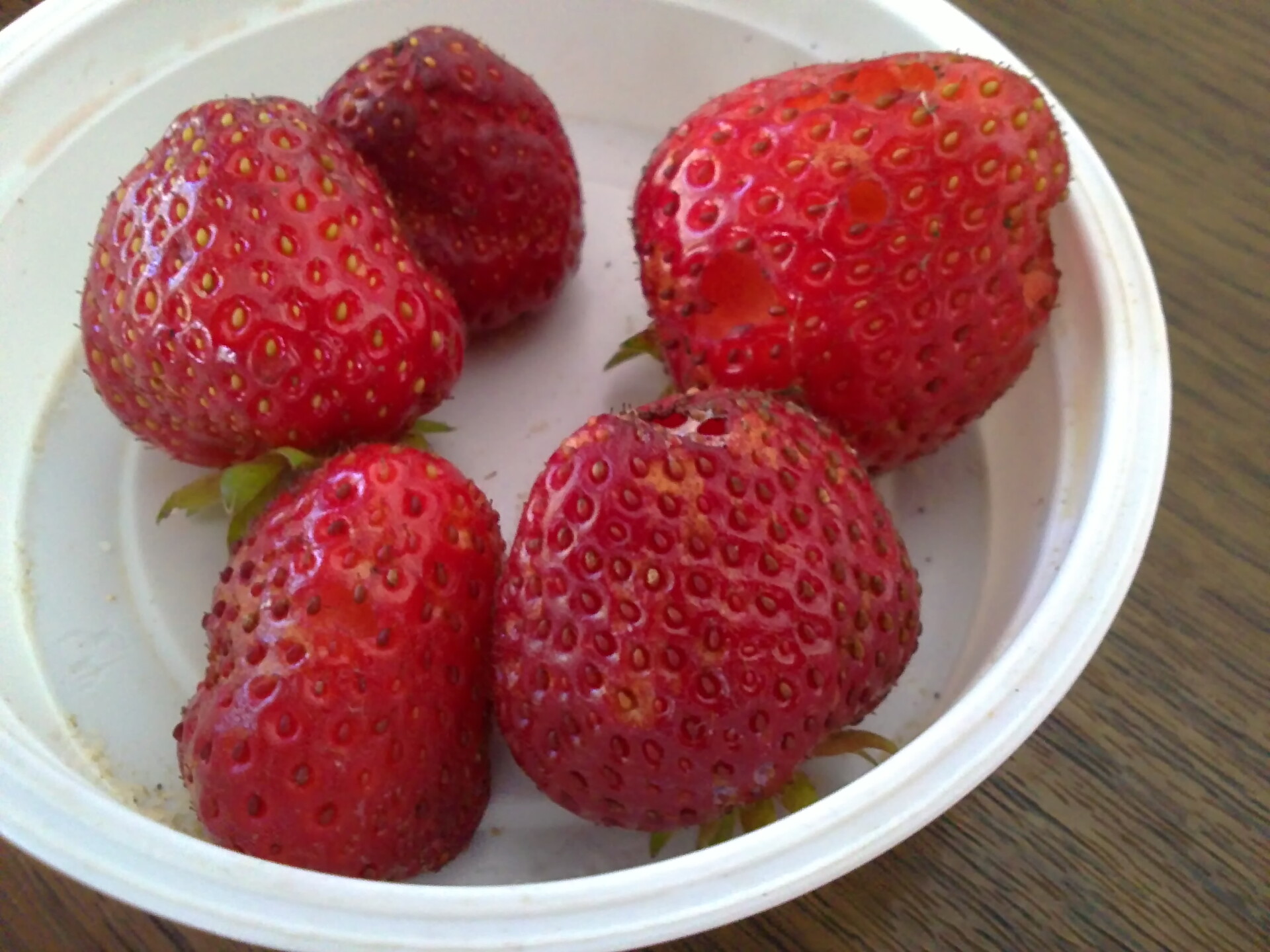 Sony Ericsson Vivaz Pro