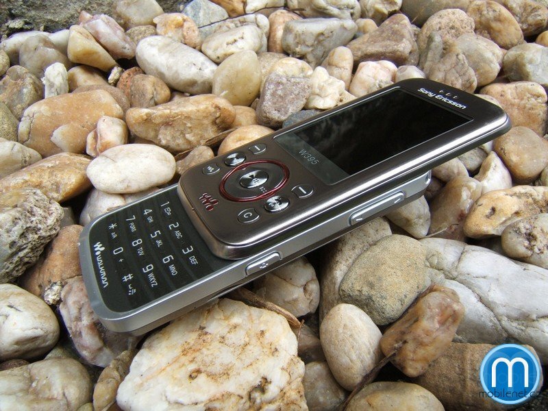 Sony Ericsson W395