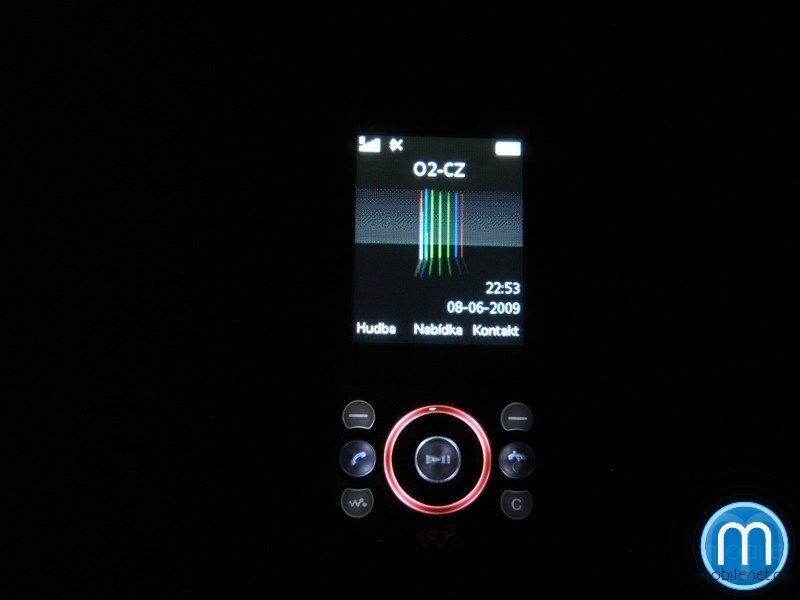 Sony Ericsson W395