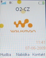 Sony Ericsson W395