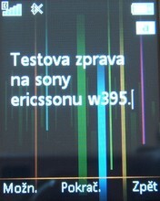 Sony Ericsson W395