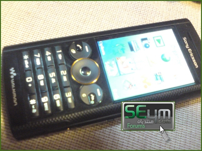 Sony Ericsson W902