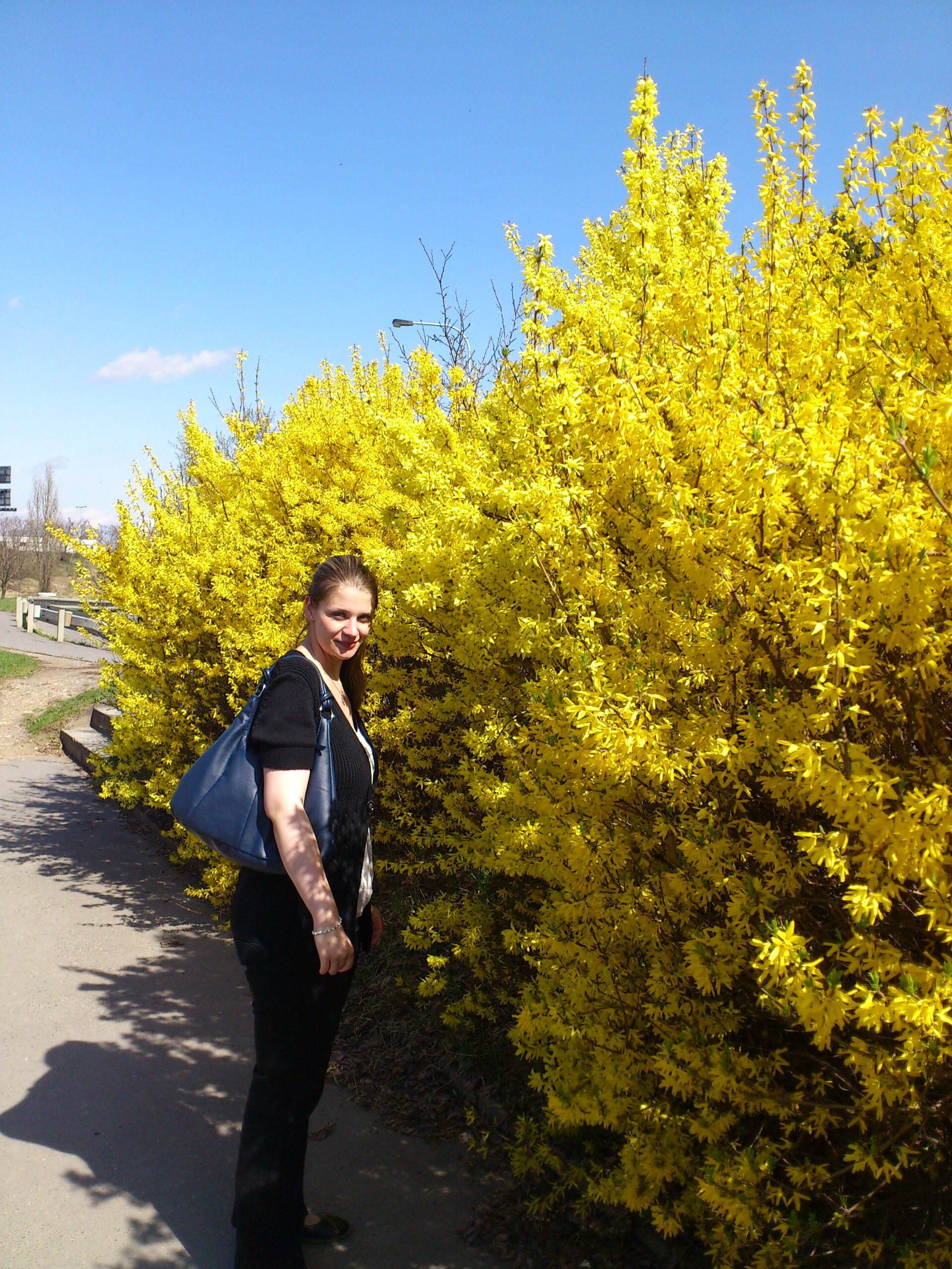 Sony Ericsson Xperia arc