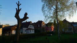 Sony Ericsson Xperia neo