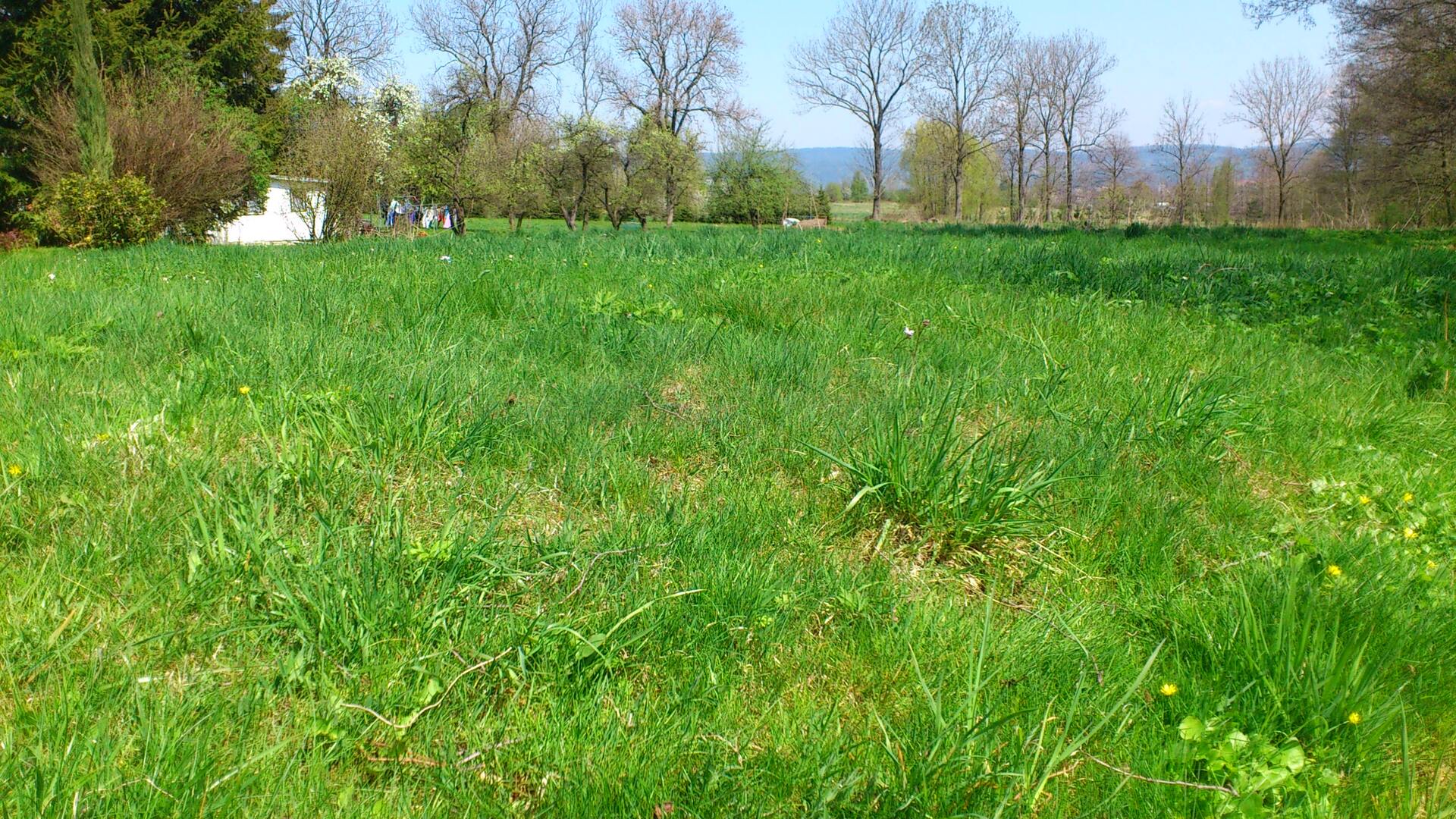 Sony Ericsson Xperia neo