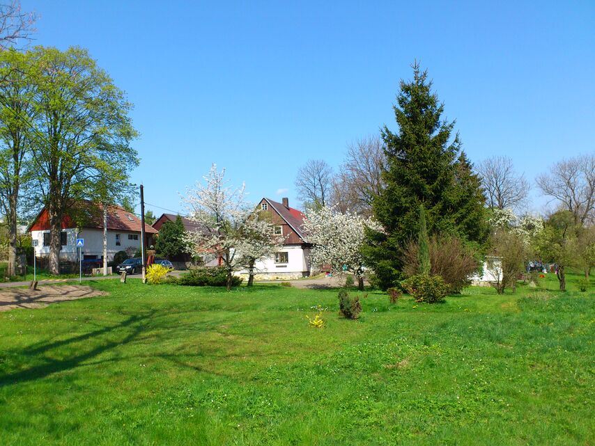 Sony Ericsson Xperia neo