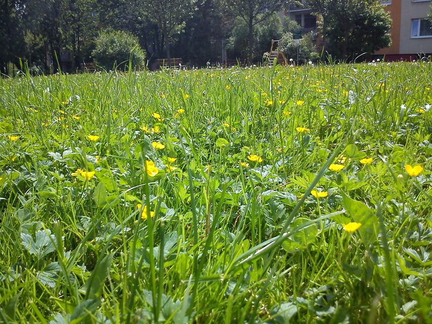 Sony Ericsson Xperia PLAY